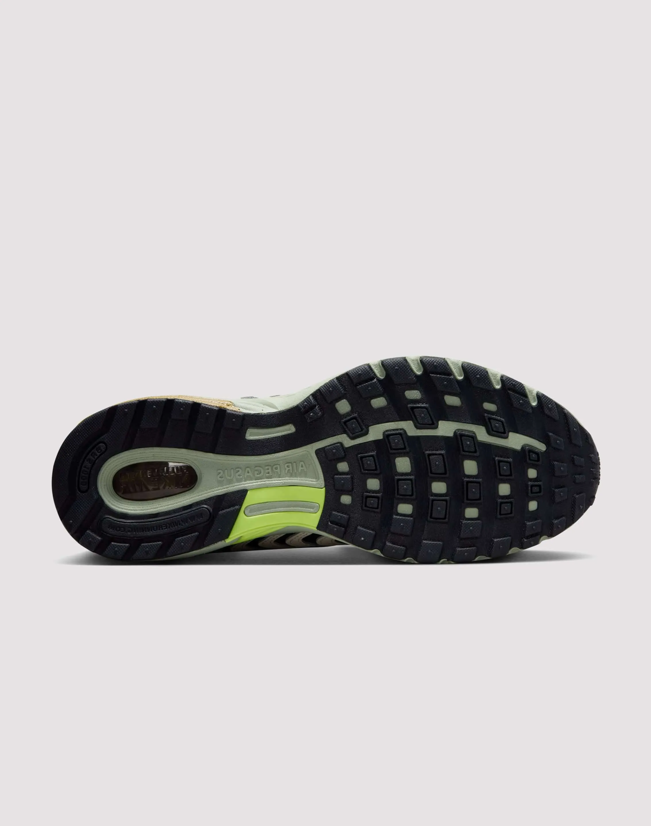 Creek Run Nike Air Pegasus 2005