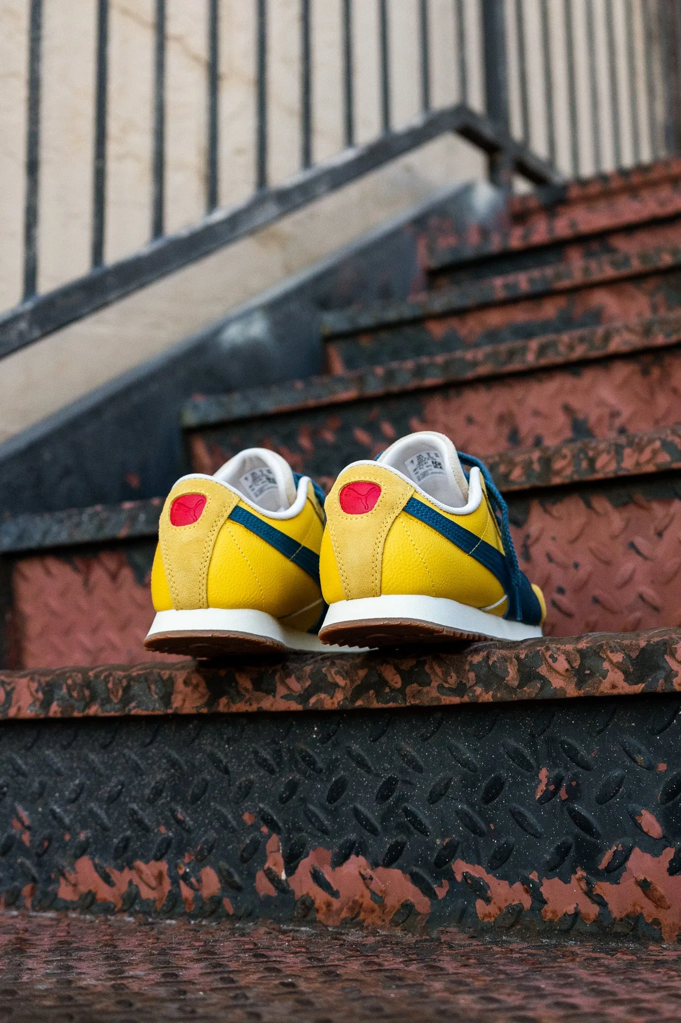 Mens Puma Roma Underdogs (Canary Yellow) Long - distance