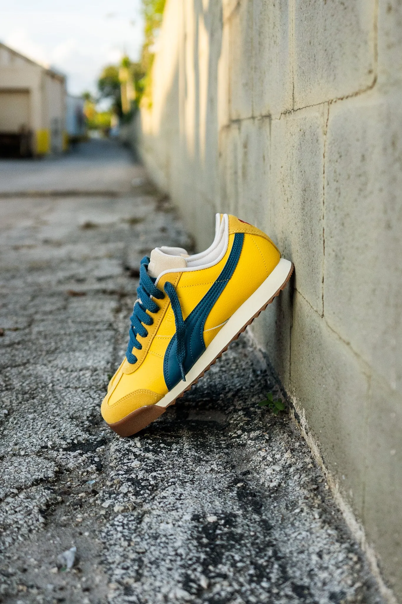 Mens Puma Roma Underdogs (Canary Yellow) Exclusive Look Plush Fit