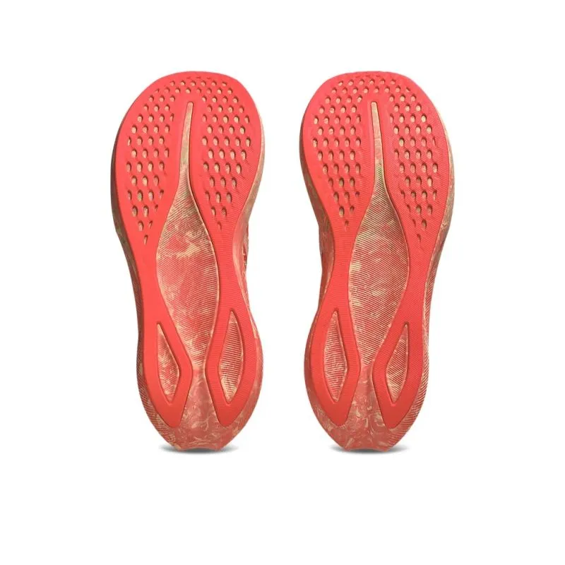Sports Gear ASICS Noosa Tri 16 D Mens Running Shoes