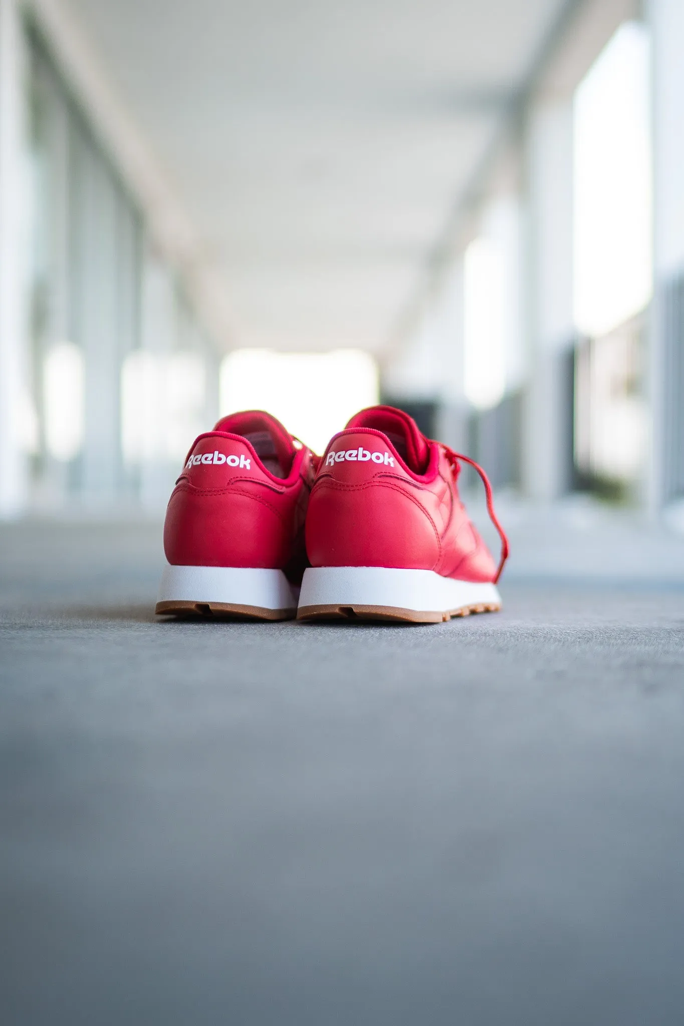 Vegan Men's Reebok Classic Leather (Vector Red/White)