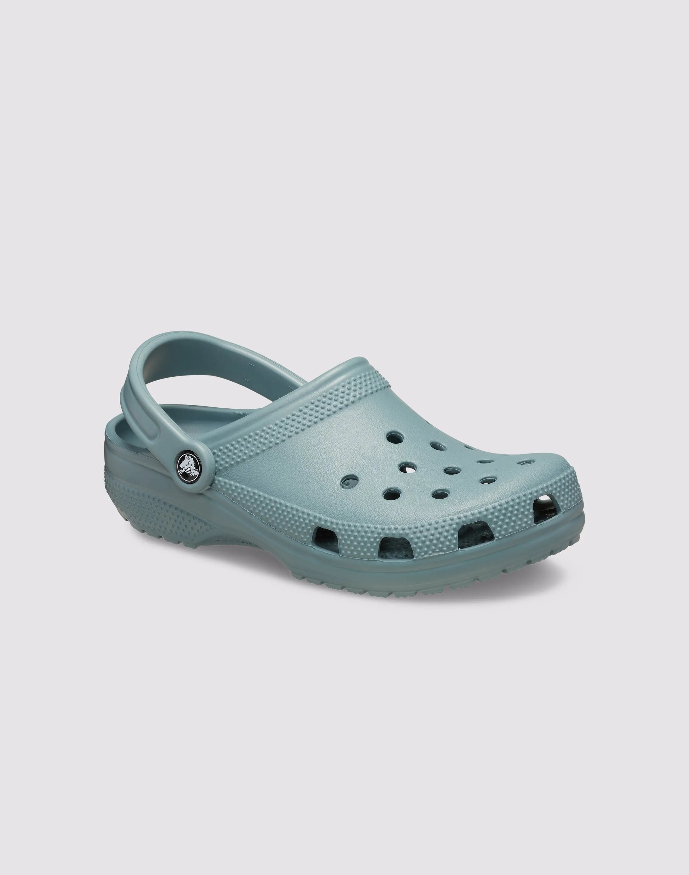 Active Lifestyle Crocs Classic 'Pond' Clog