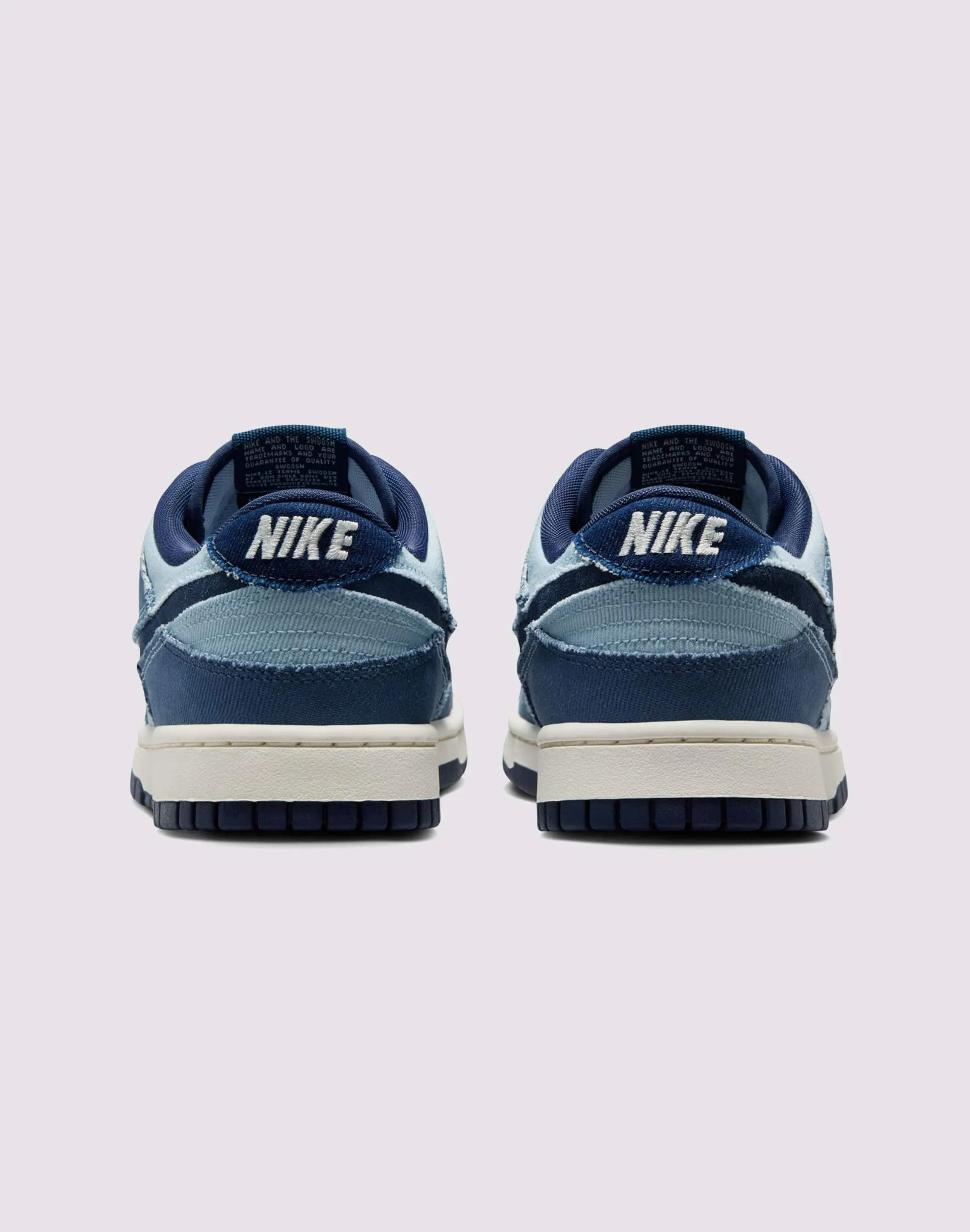 Smooth Feel Sleek Detail Nike Dunk Low Retro SE