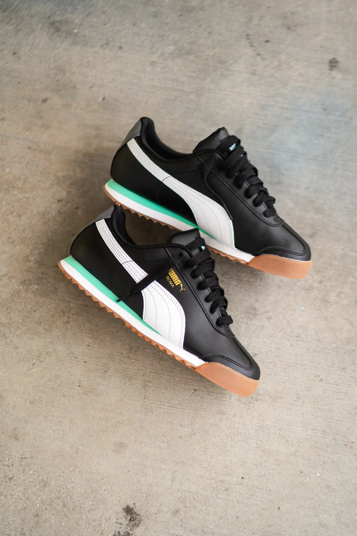 Men's Puma Roma Basic (Black/White/Mint) tint