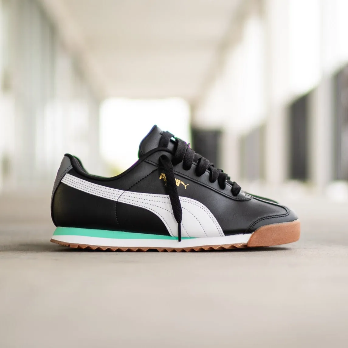 Men's Puma Roma Basic (Black/White/Mint) Flattering wear Special