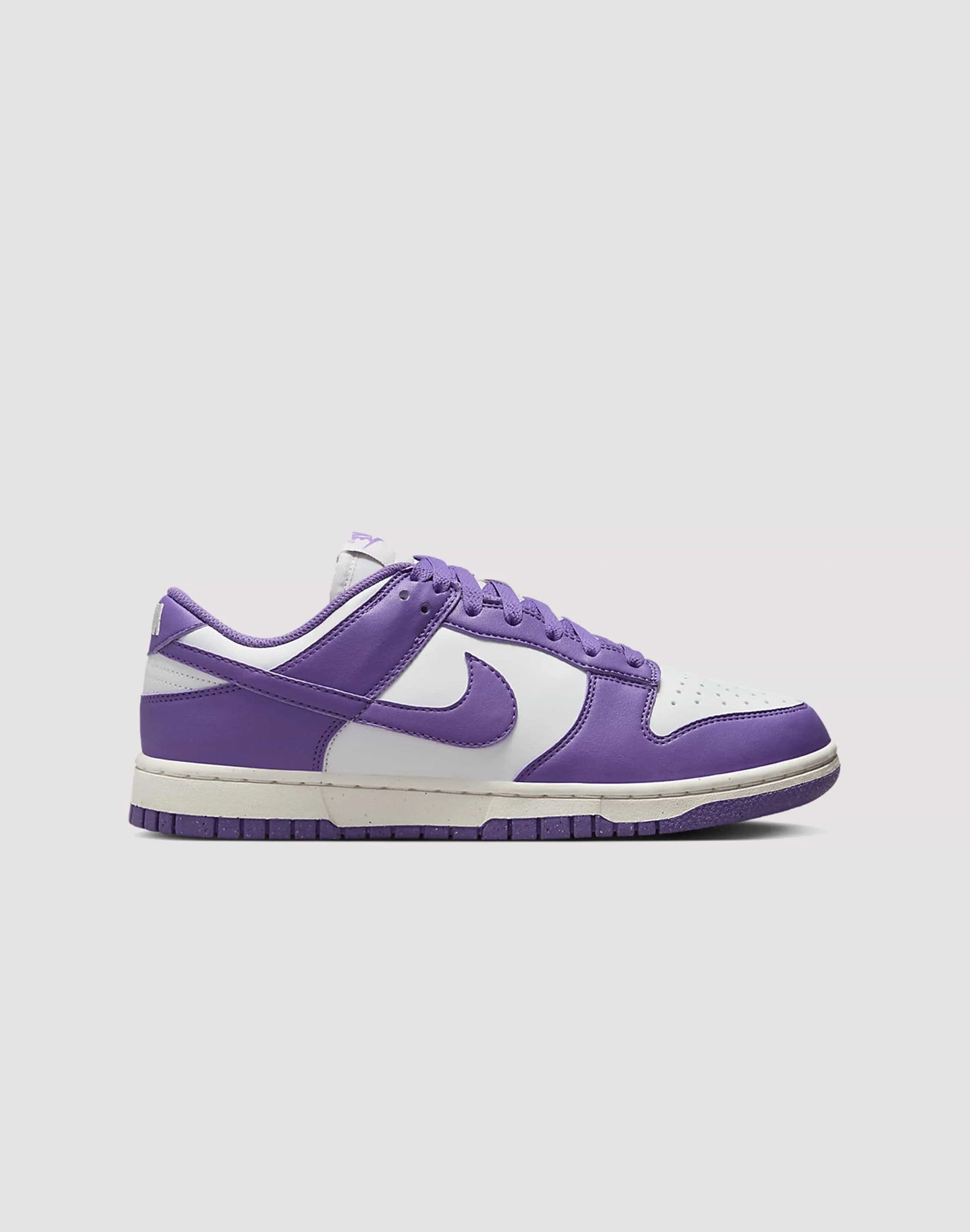 Nike Dunk Low All-Day Durability