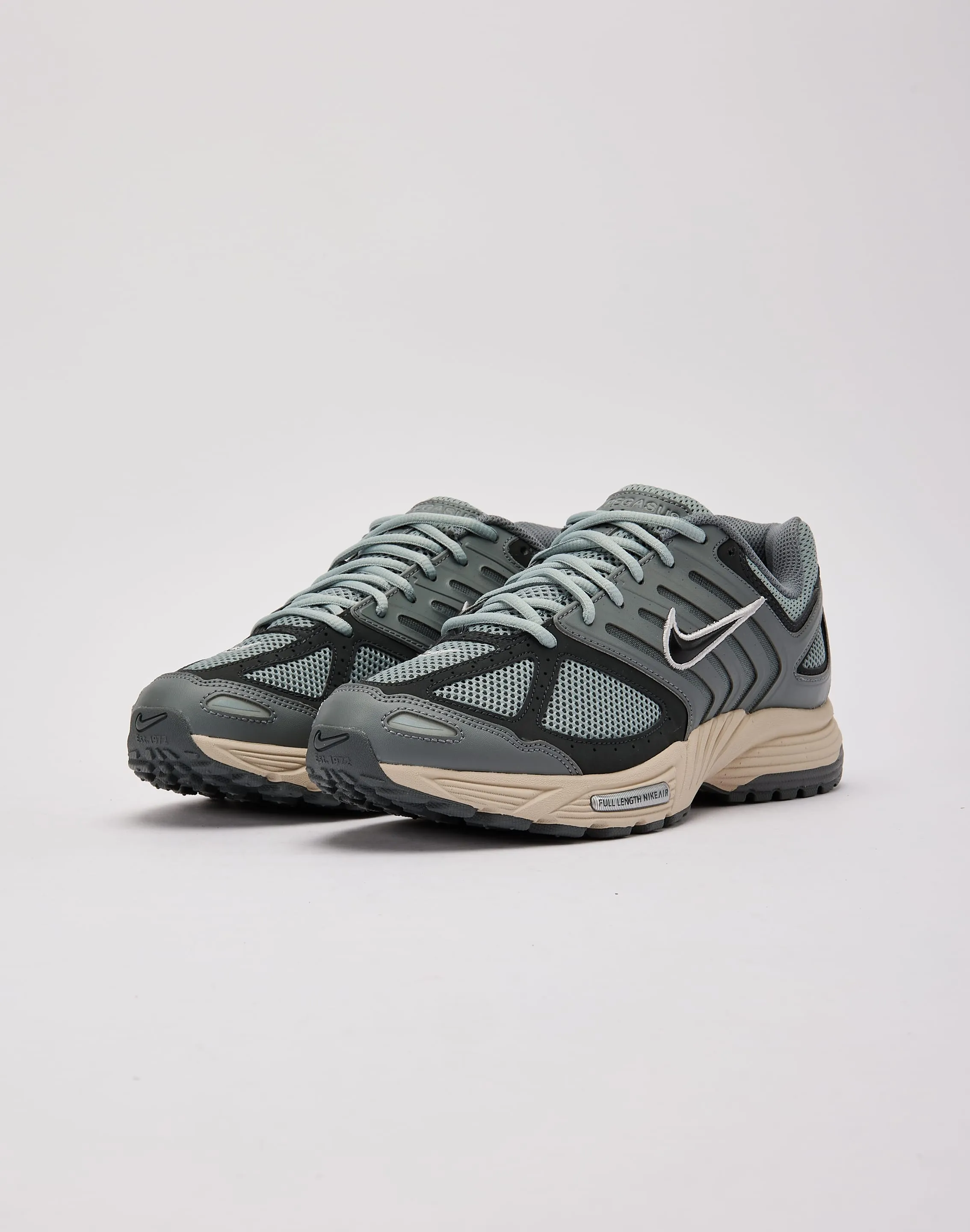 Nike Air Pegasus 2005 Travel Edge