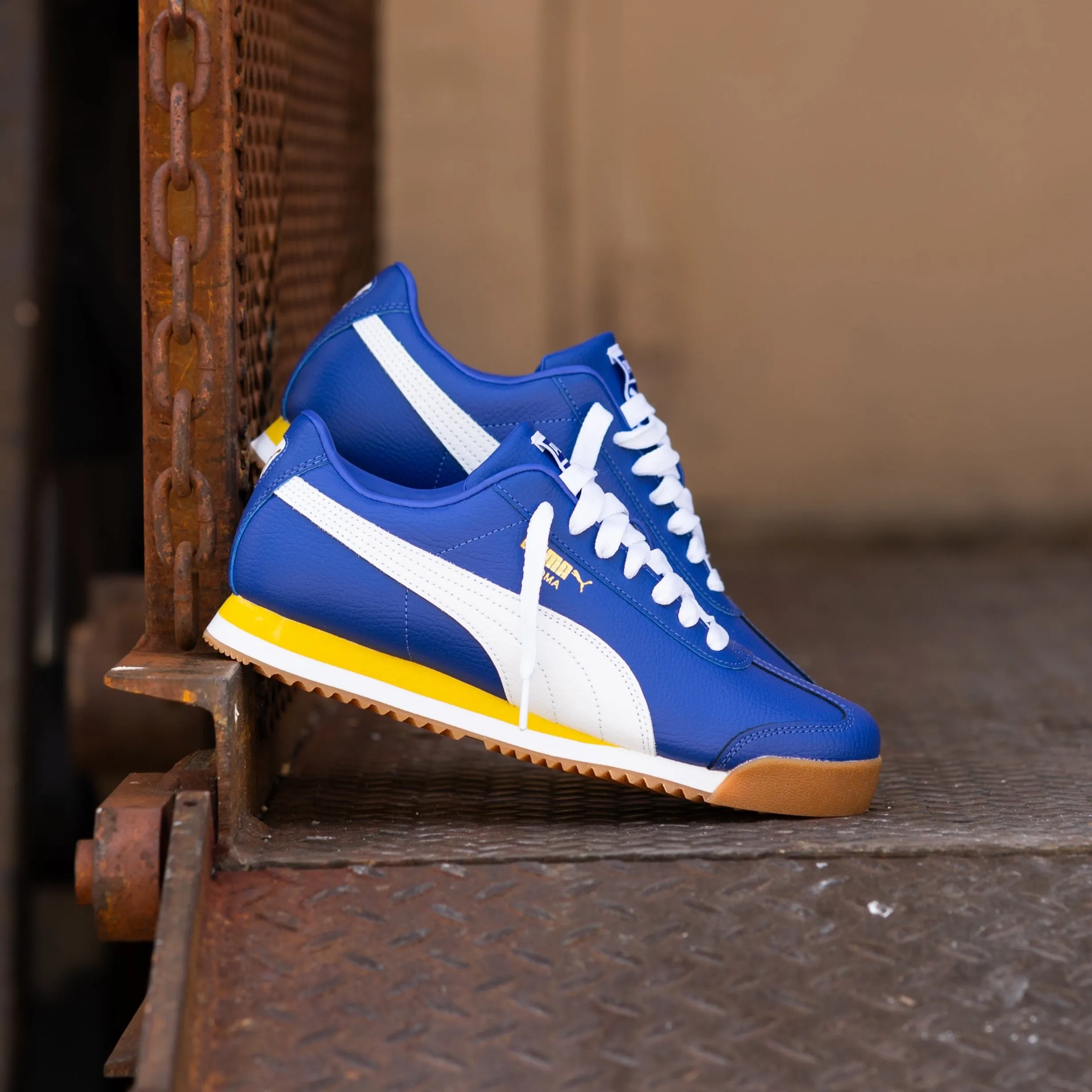 Mens Puma Roma 24 Standard (Lapis Lazuli/Fresh Pear) Regular Fit
