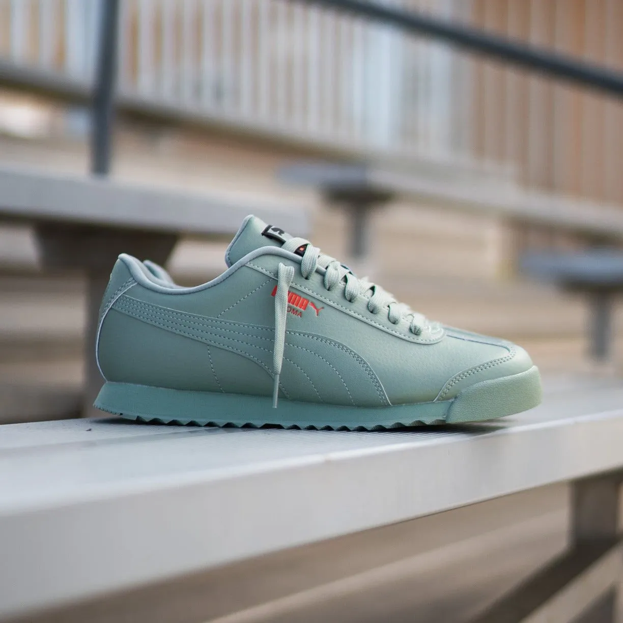 Mens Puma Roma Brand Love (Green Fog) student tempting