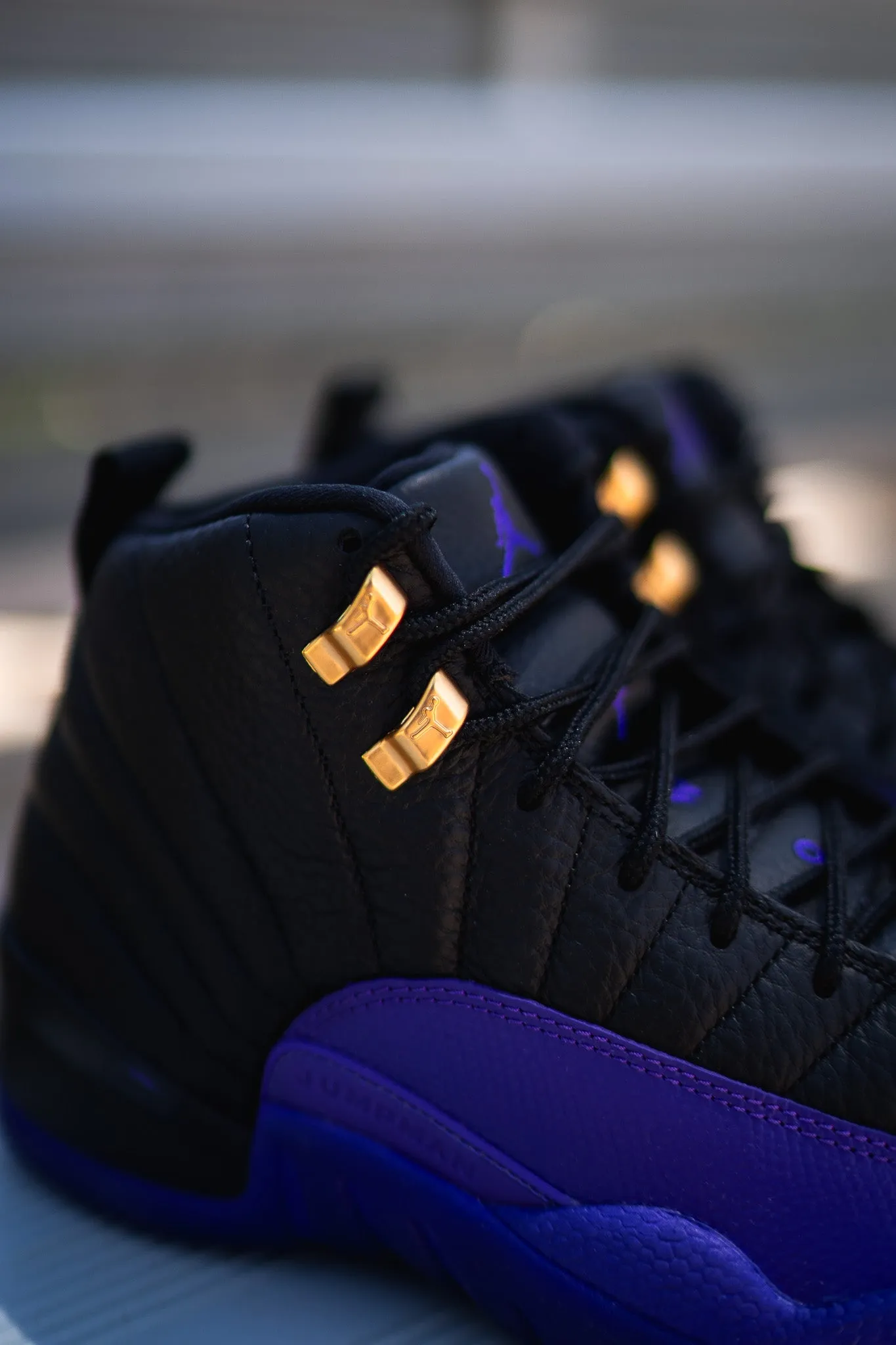 Air Jordan 12 Retro (Field Purple) back - zip
