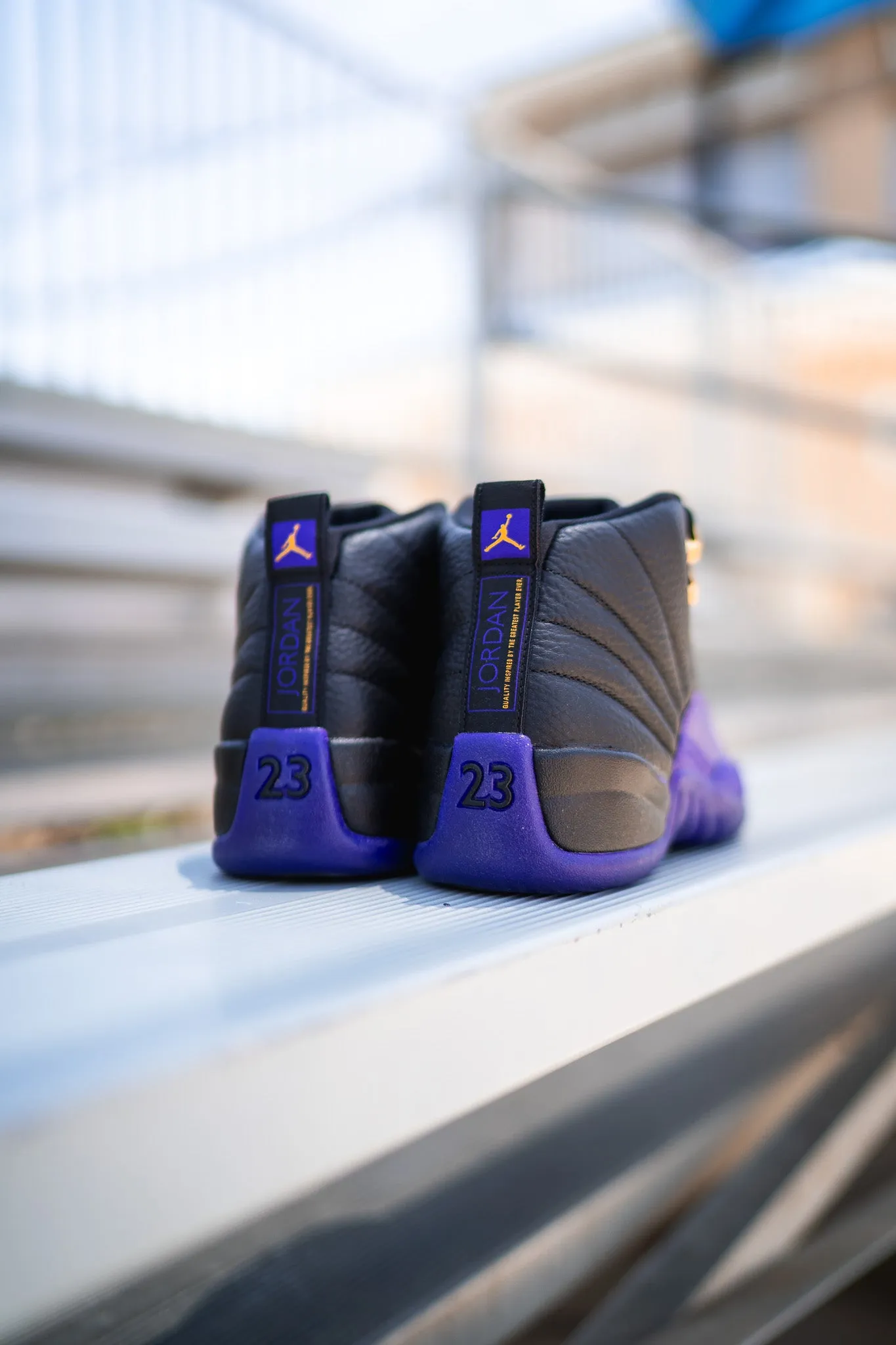 Air Jordan 12 Retro (Field Purple) Anti - odor
