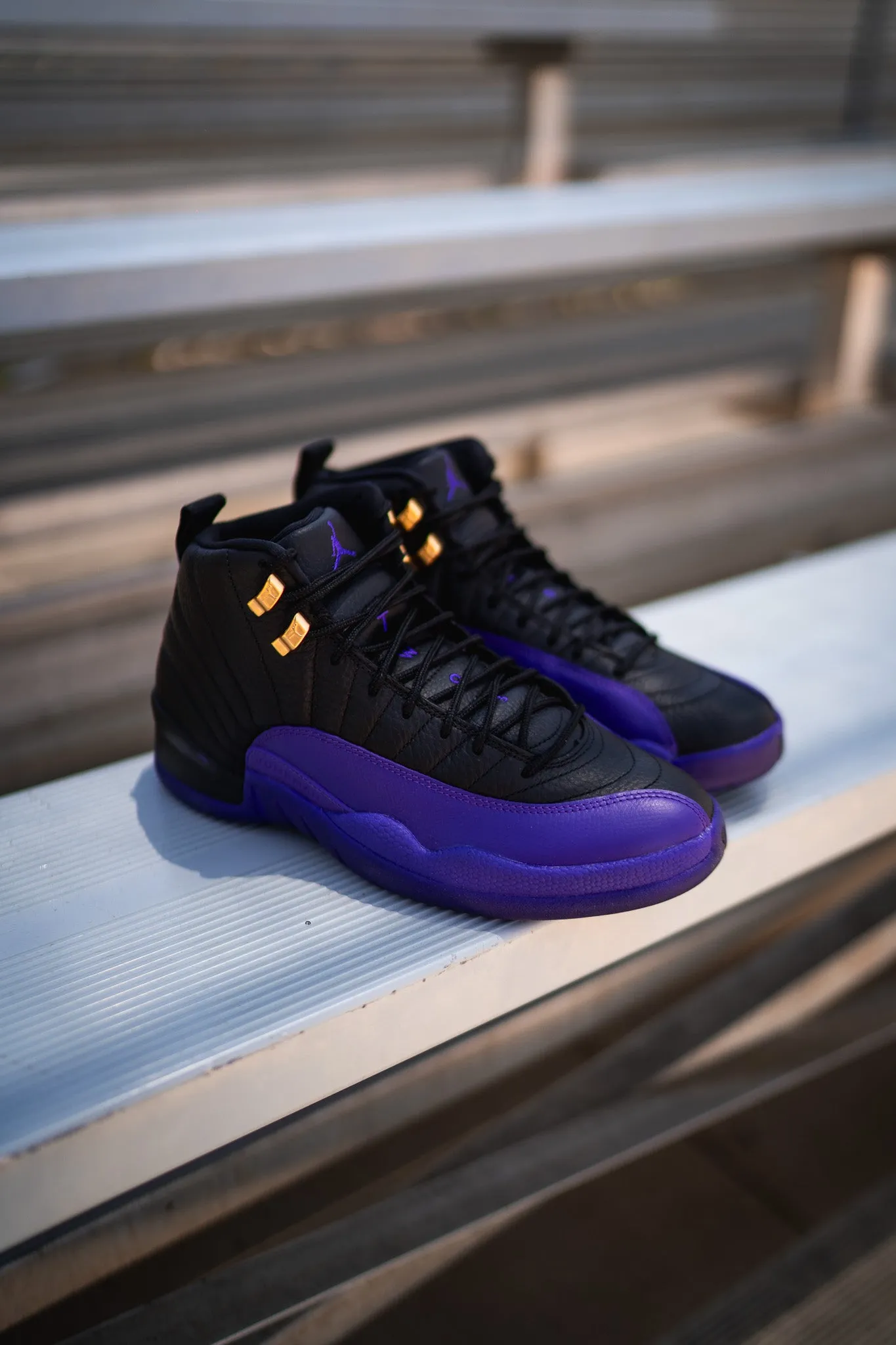 Air Jordan 12 Retro (Field Purple) skateboarders' maneuverability