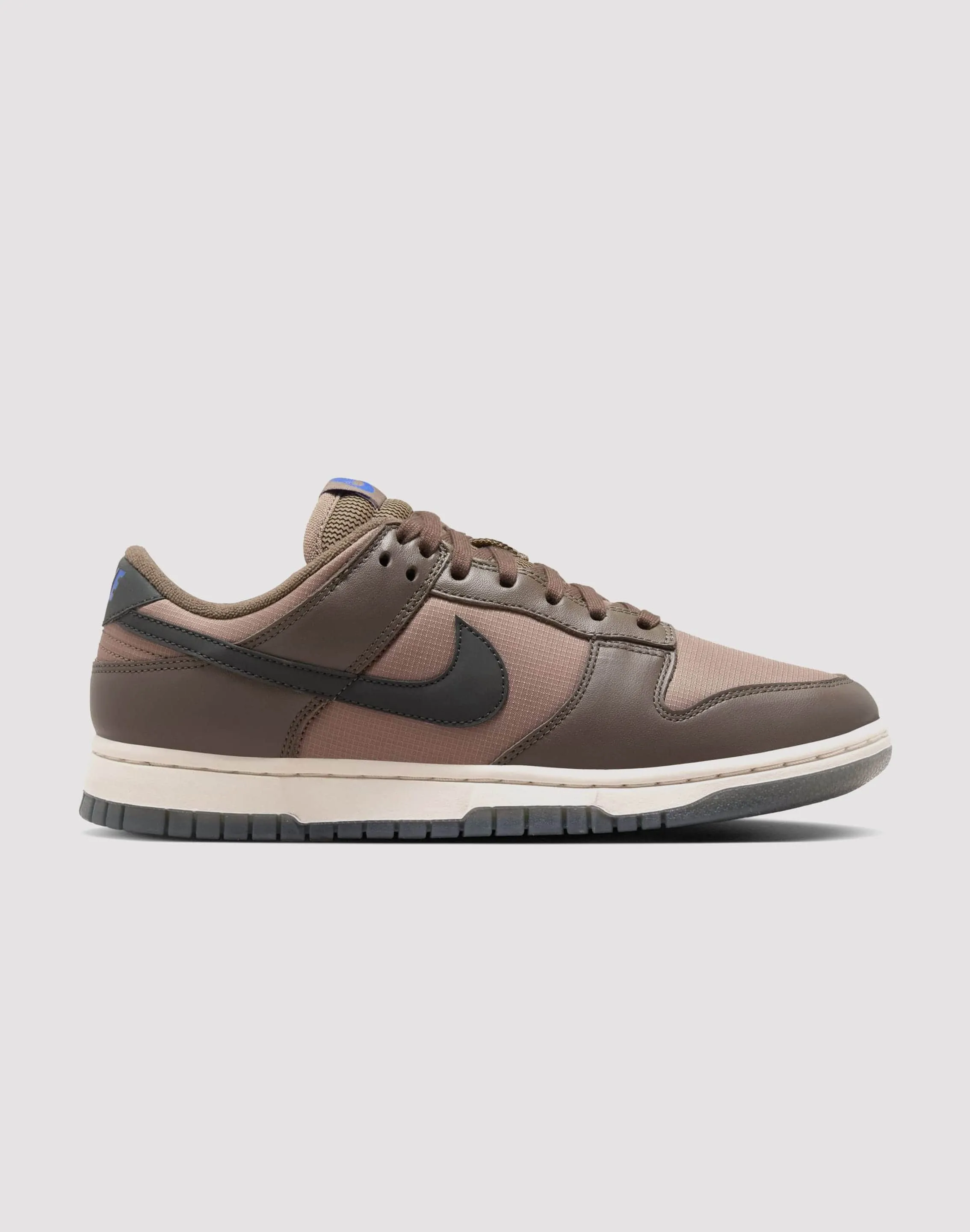 Customizable Fit Nike Dunk Low