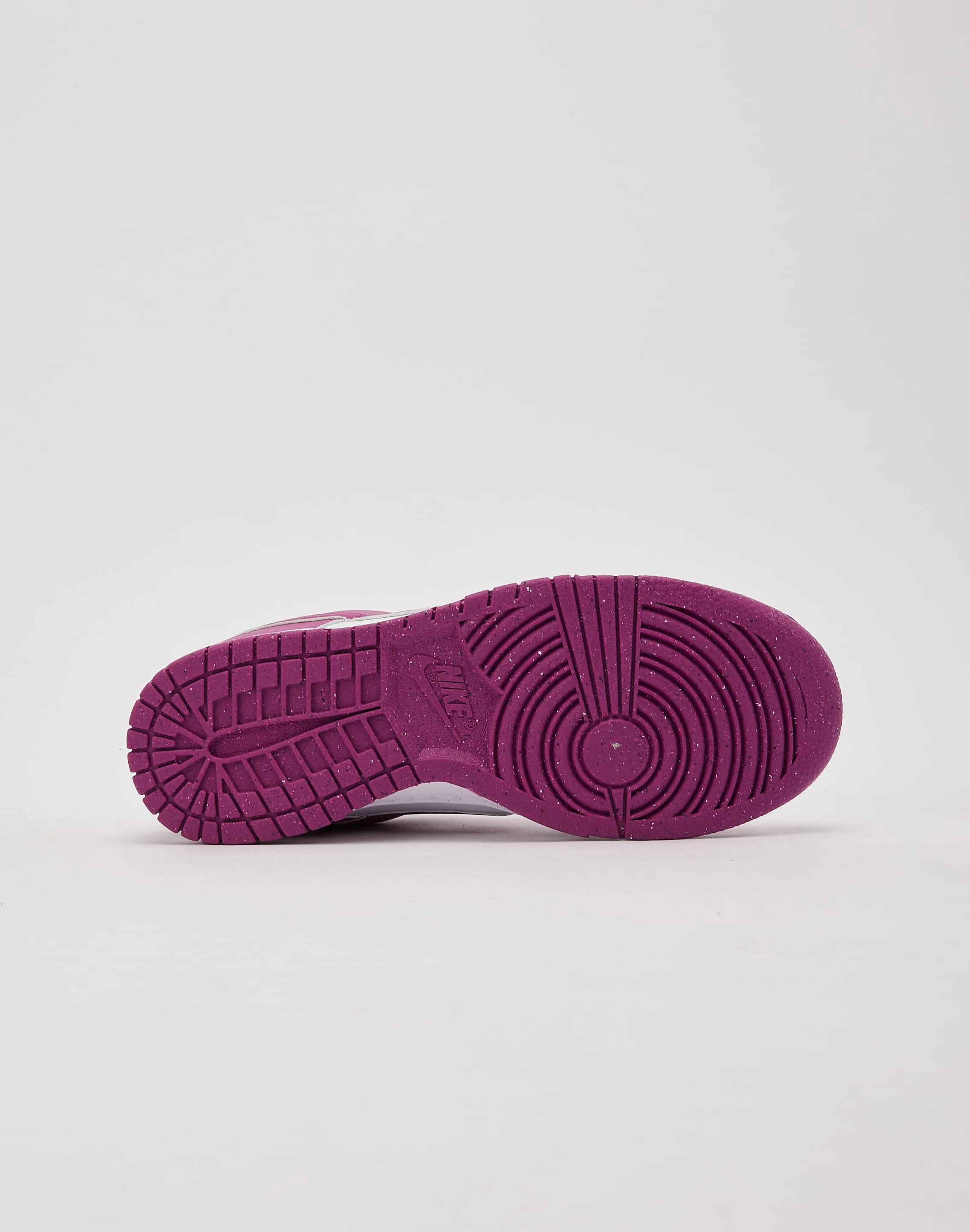 Ankle padding ScratchResistantSurface Nike Dunk Low Next Nature