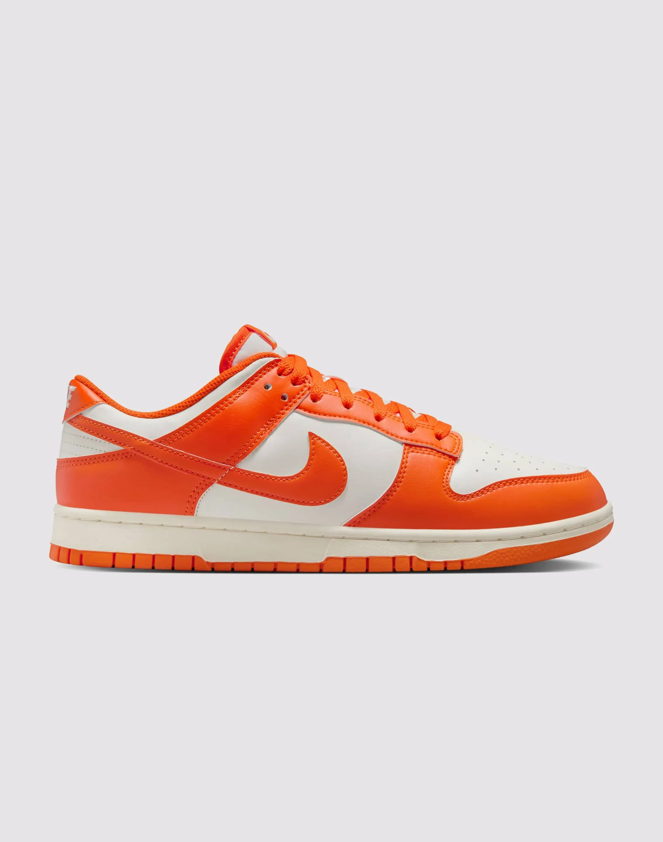 Nike Dunk Low Retro Ice Step