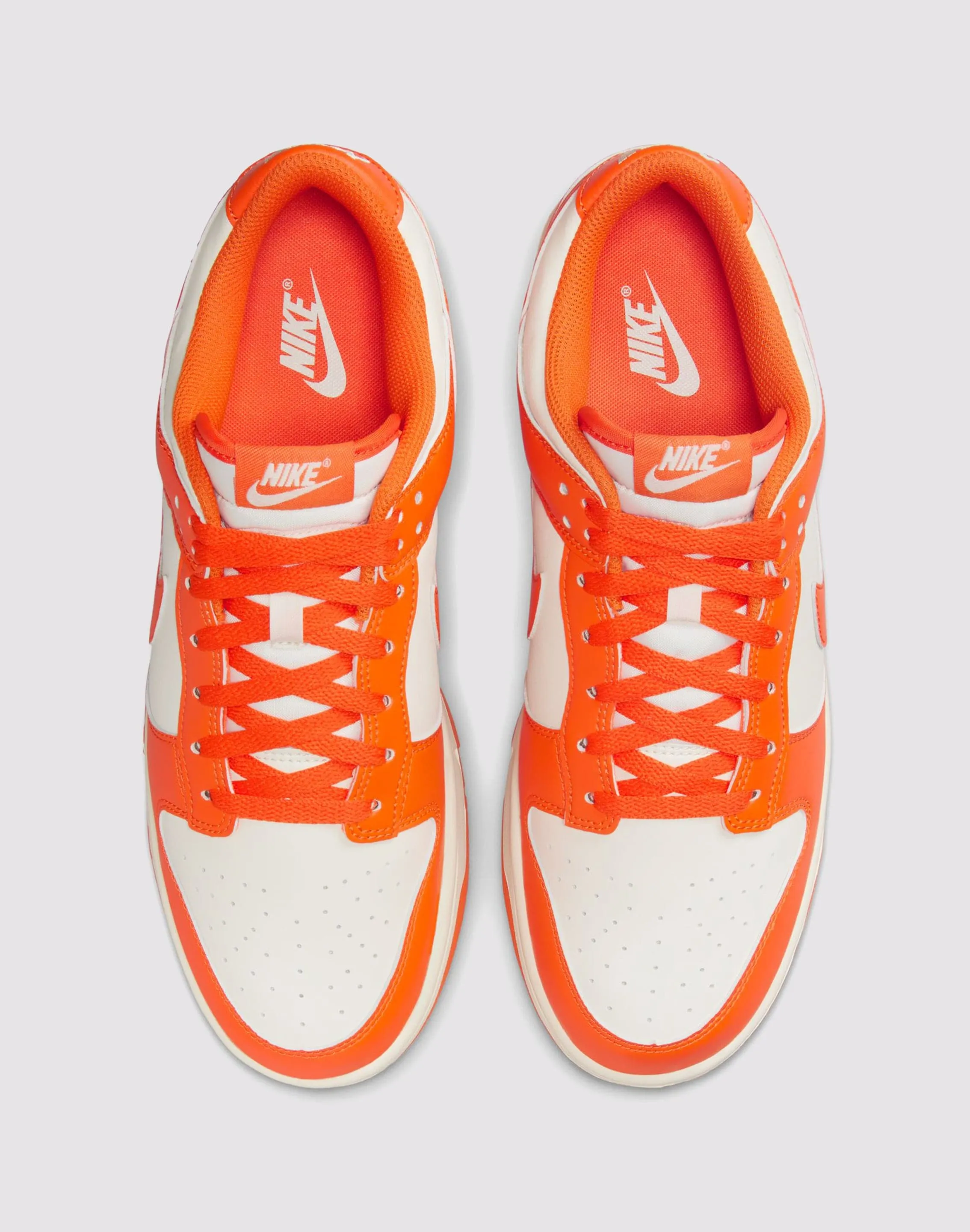 All People Studded Trim Nike Dunk Low Retro