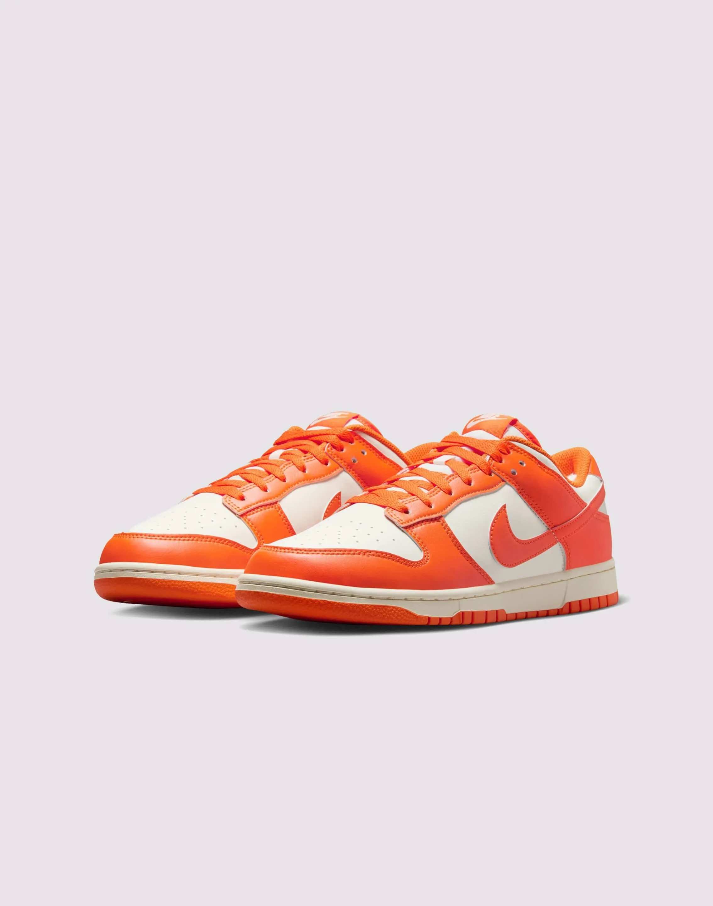 Regular Fit Neat Style Nike Dunk Low Retro