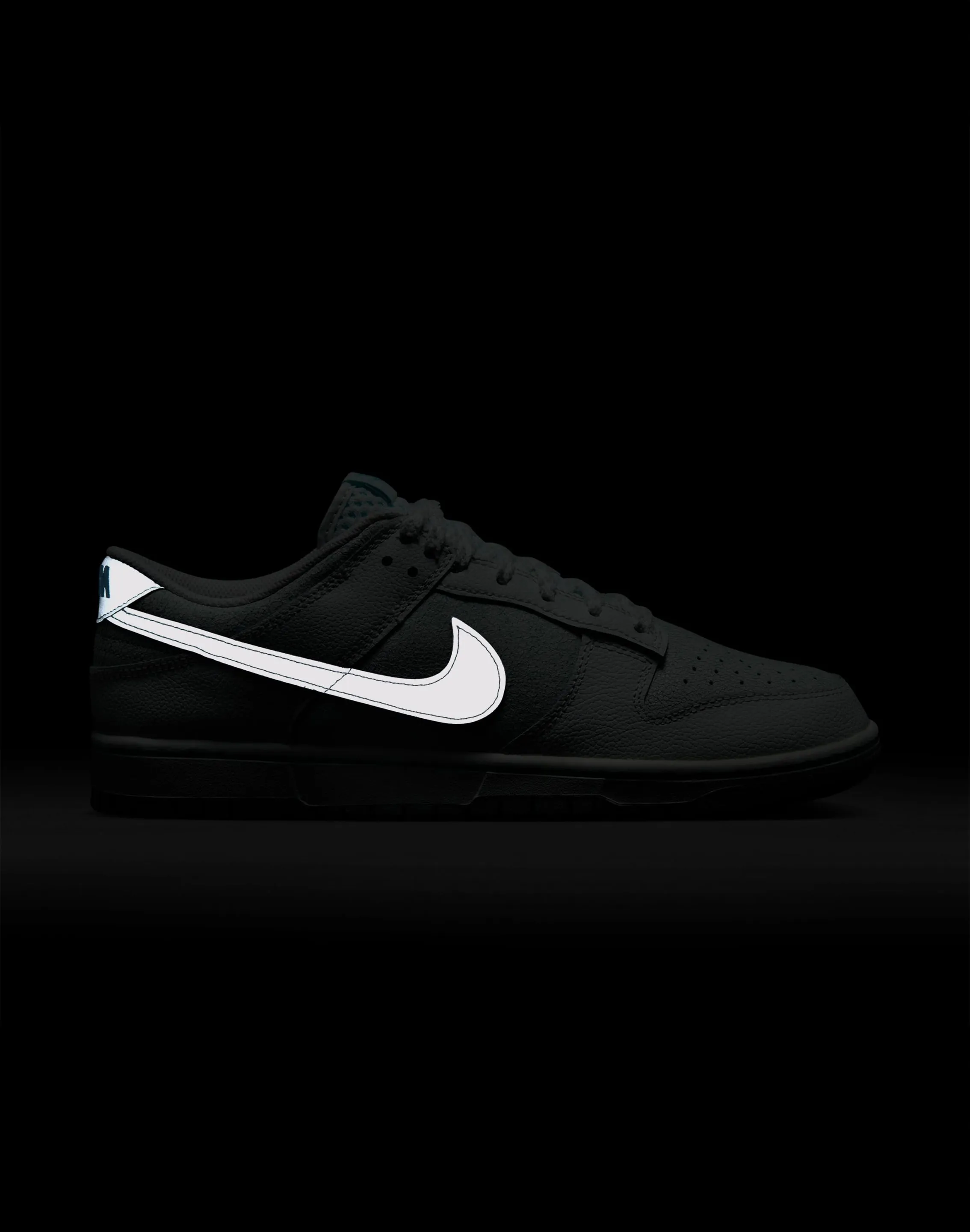 Fit Daily City Tour Nike Dunk Low Retro
