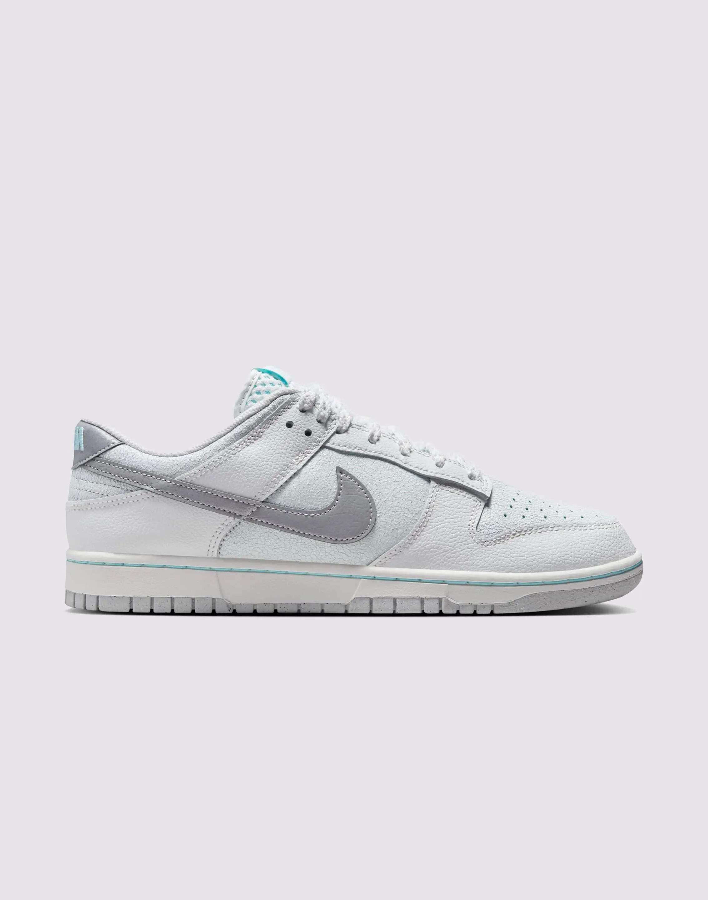 Nike Dunk Low Retro Indoor outdoor use Grip Hike