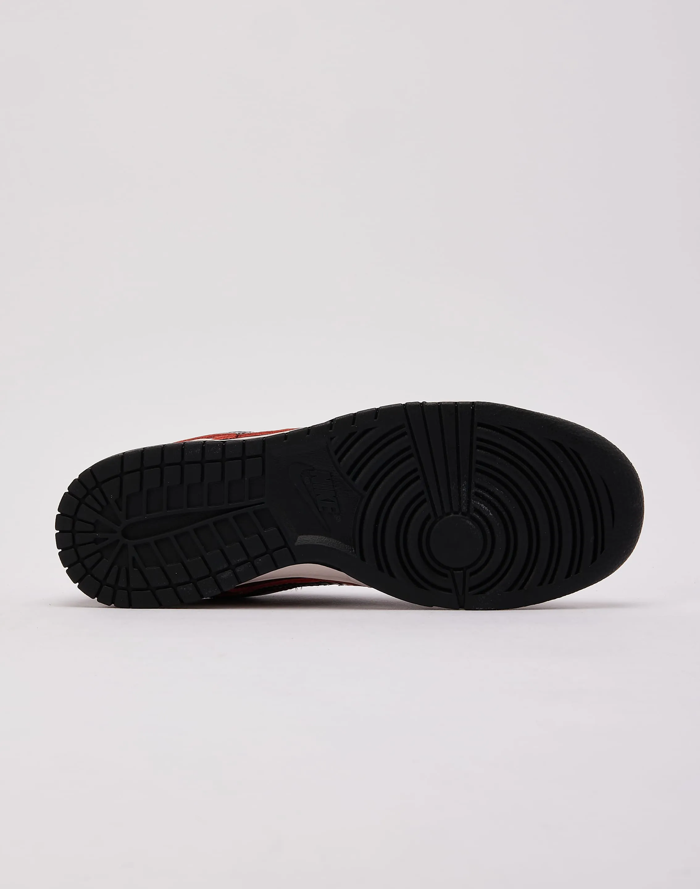 Simple Look Premium Walk Nike Dunk Low Retro SE