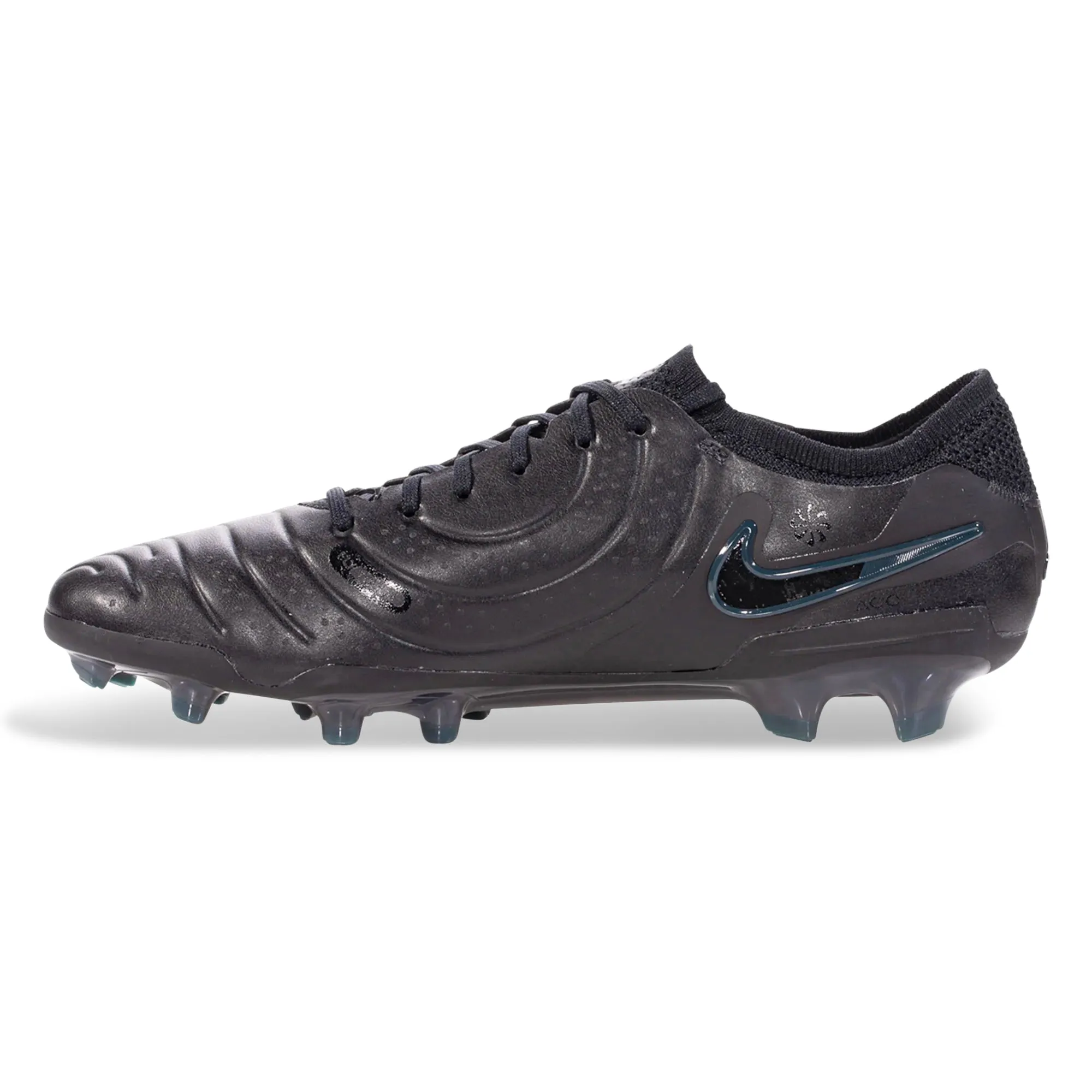 three - legged - race - path shoes team players Nike Legend 10 Elite FG Soccer Cleats (Black/Deep Jungle)