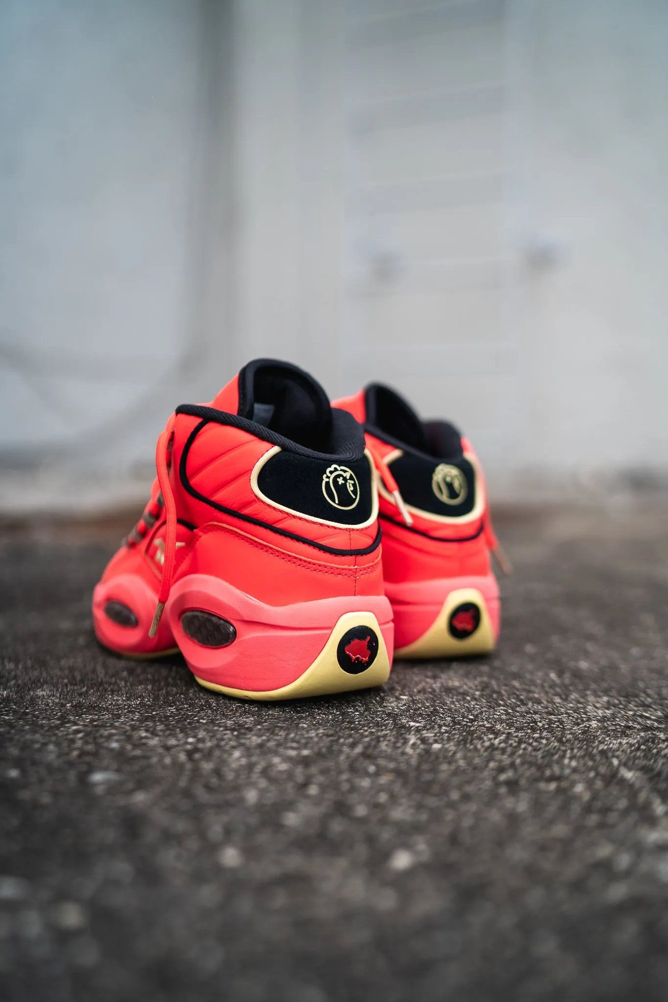 Reebok Hot Ones Question Mid (Last Dab) Unisex