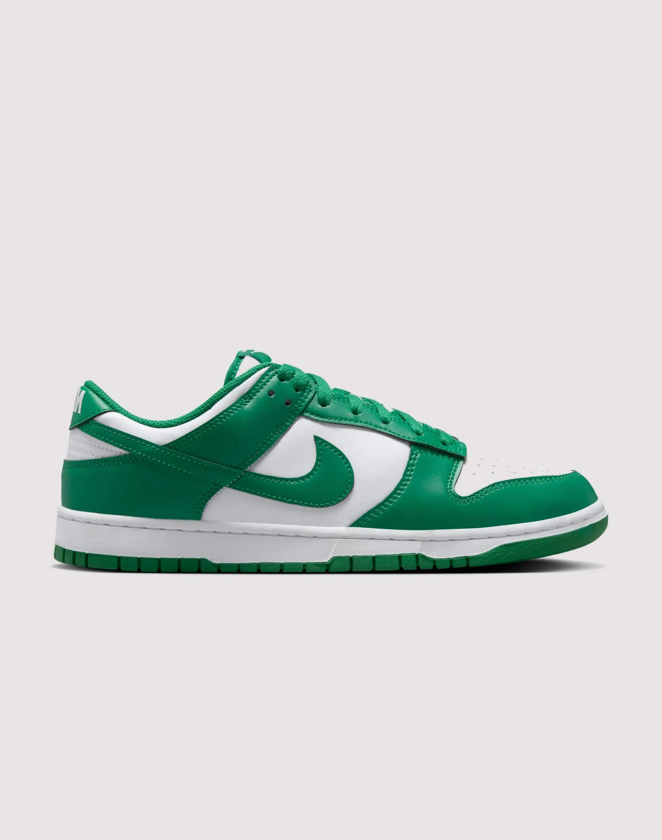 On Foot Nike Dunk Low