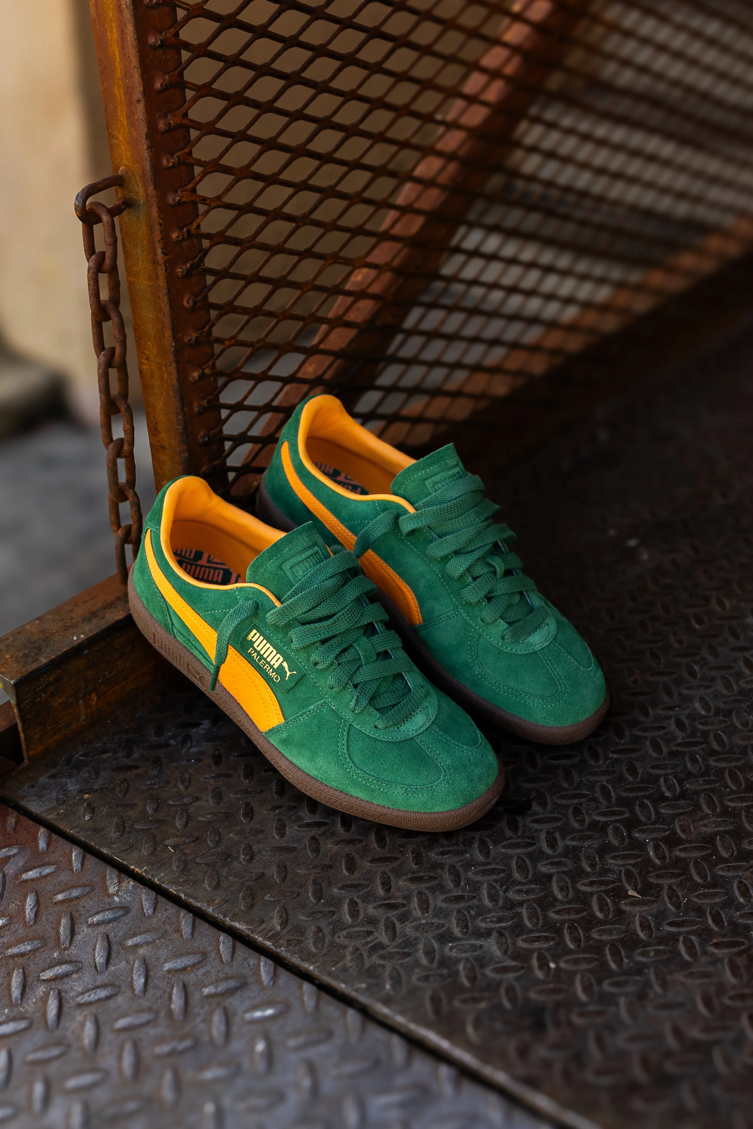 sophisticated adults' choices Sculpted cushioning Mens Puma Palermo (Vine/Clementine)