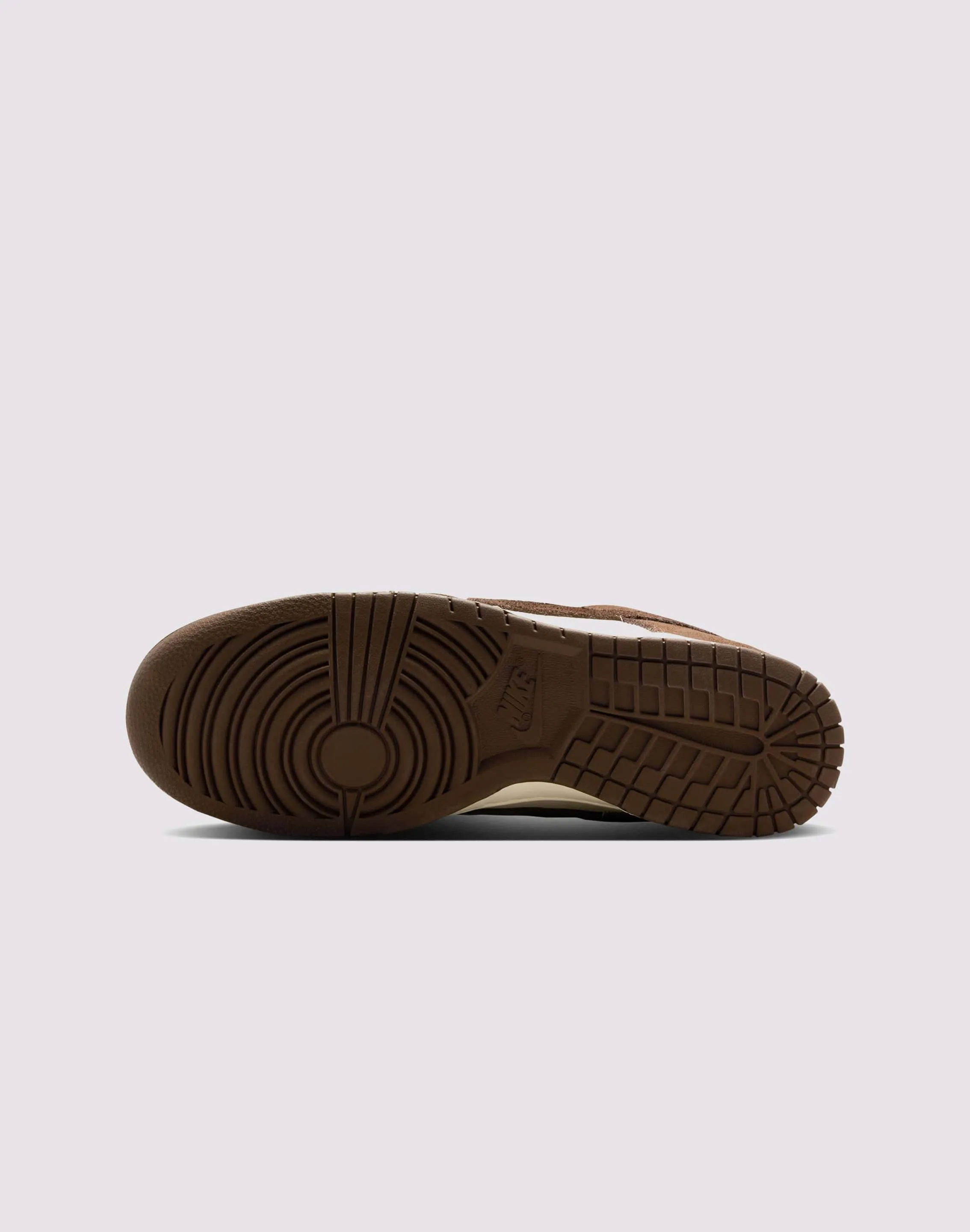 Padded collar Park Walk Nike Dunk Low SE