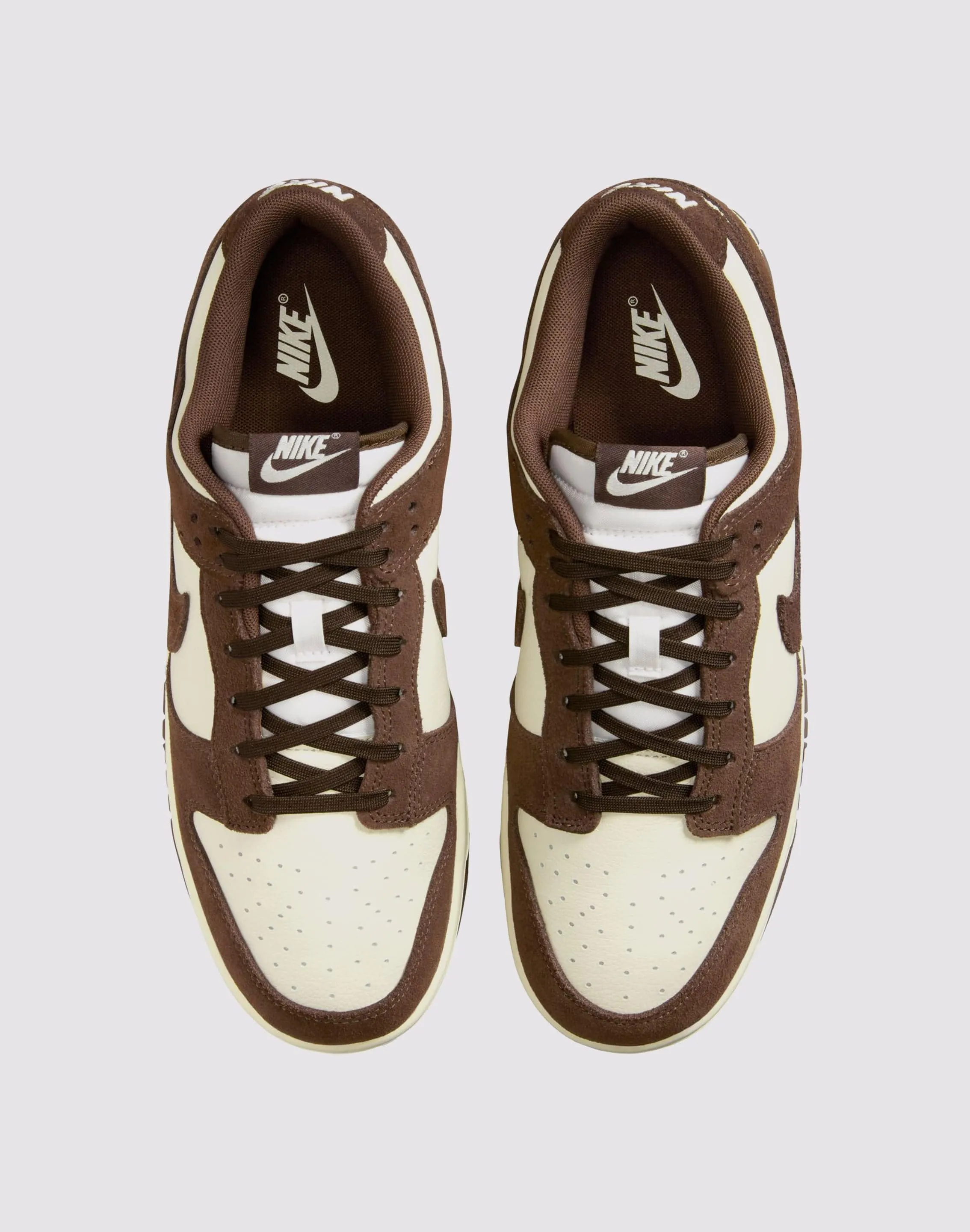 Fresh Daily Nike Dunk Low SE